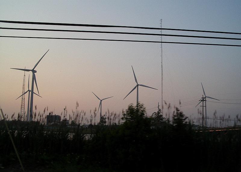 IMGP1423.JPG - Another Picture Photo .... Nature working for mankind